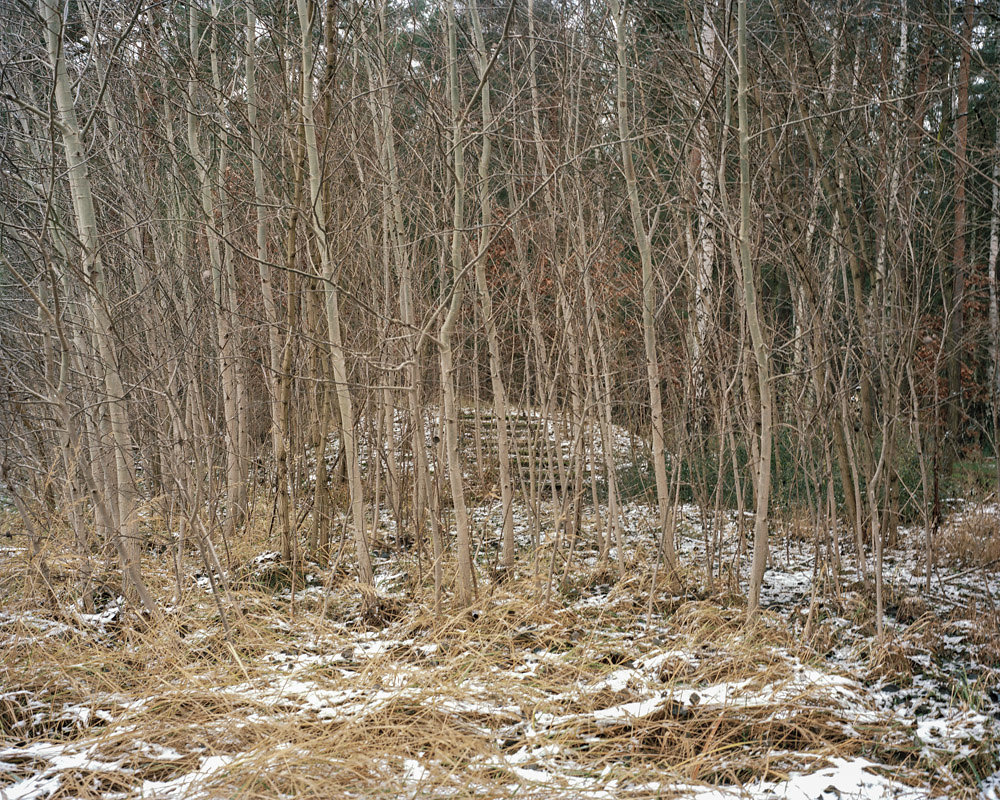 path to the shooting stands